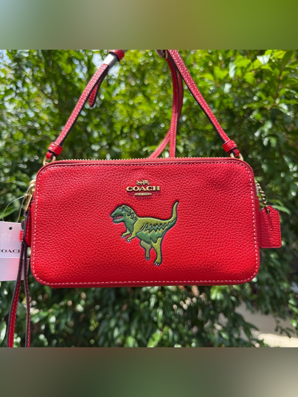 NWT Coach Kira Crossbody With Rexy CF833